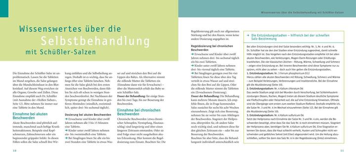Produktbild Maxi-Quickfinder Schüssler-Salze (Deutsch, Günther H. Heepen, 2015)
