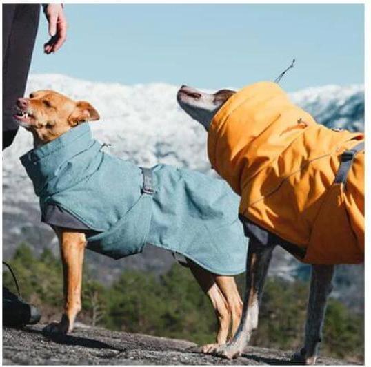Actual product image Hurtta Expedition Parka buckthorn - Winter (40, Dog coat)