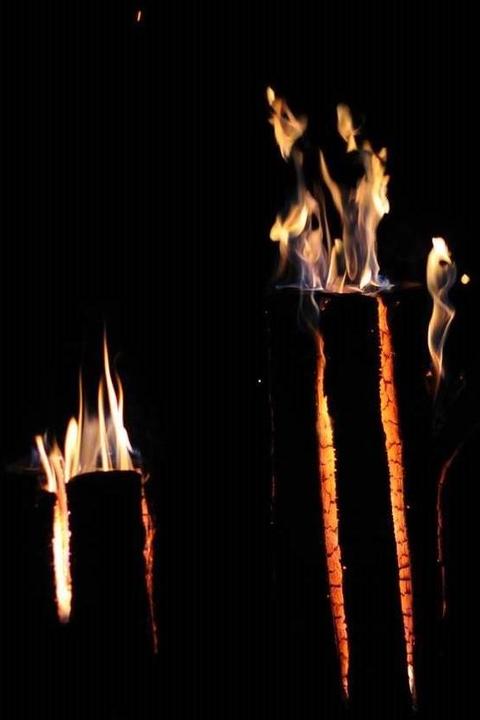 Actual product image DIY-Wood Swedish fire log