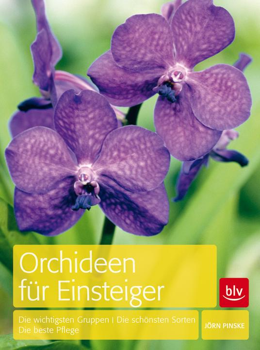 Produktbild Orchideen für Einsteiger (Deutsch, Jörn Pinske, 2011)
