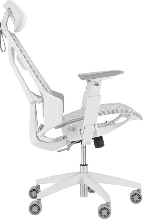 Actual product image ASUS Gaming Stuhl ROG Destrier Ergo Core WHT