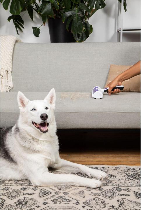 Produktbild Black & Decker Tierhaarentferner (Hund, Katze)
