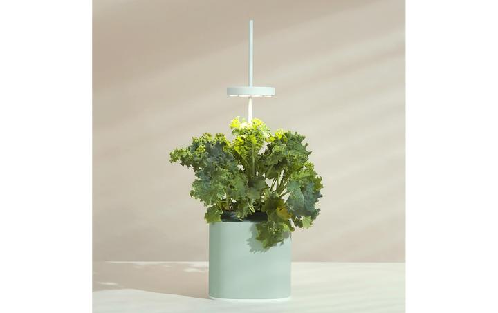 Produktbild Prêt à Pousser Kräutertopf Nano, Celadon Green (13.50 cm)