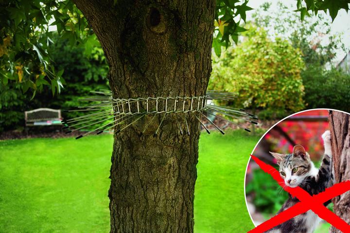 Actual product image Gardigo Cat repellent belt