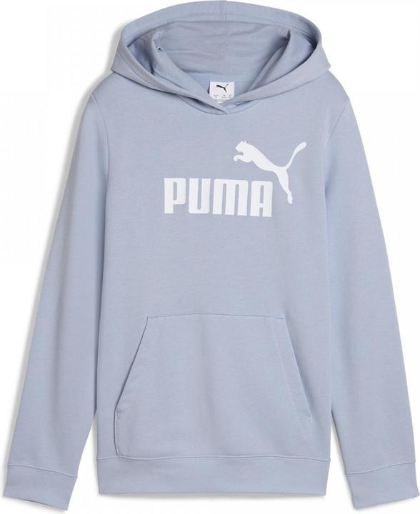 Actual product image Puma ESS No. 1 Logo Hoodie TR G (152)