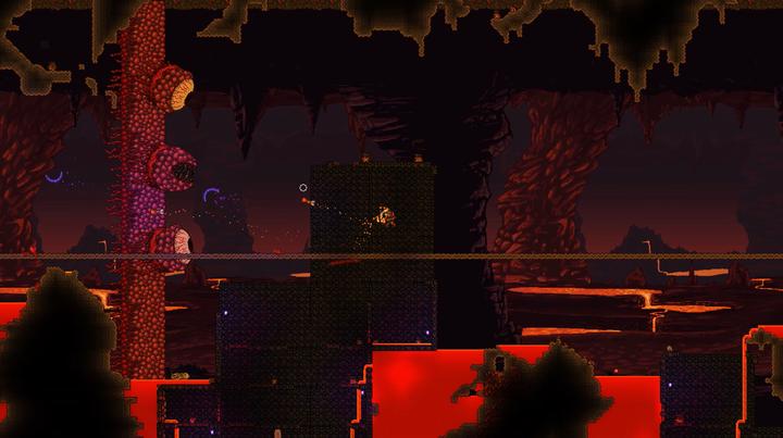 Actual product image 505 Games Terraria (Switch, DE)