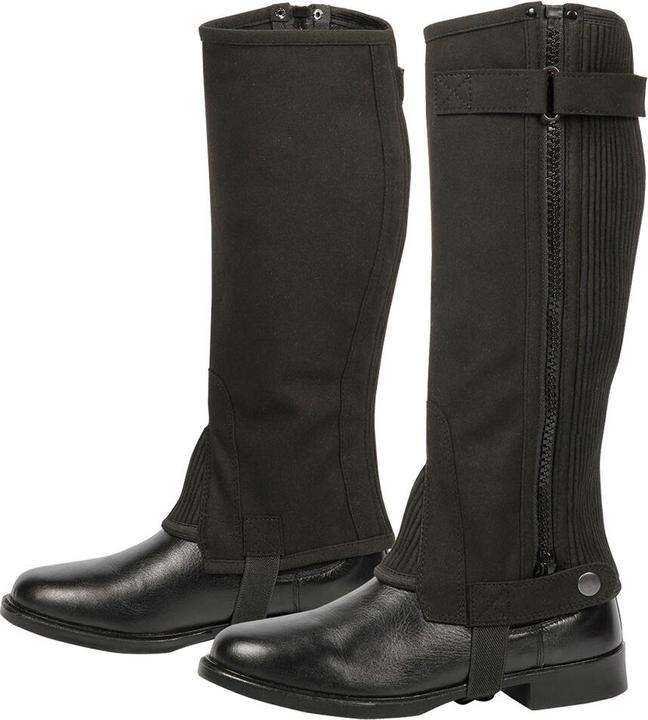 Harry's Horse mini-chaps court und breite amara