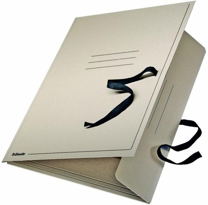 Esselte Drawing folder (A1, 1 x)