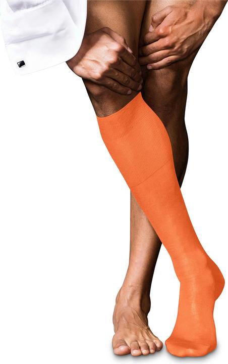 Produktbild Falke No. 9 KH (41 - 42)