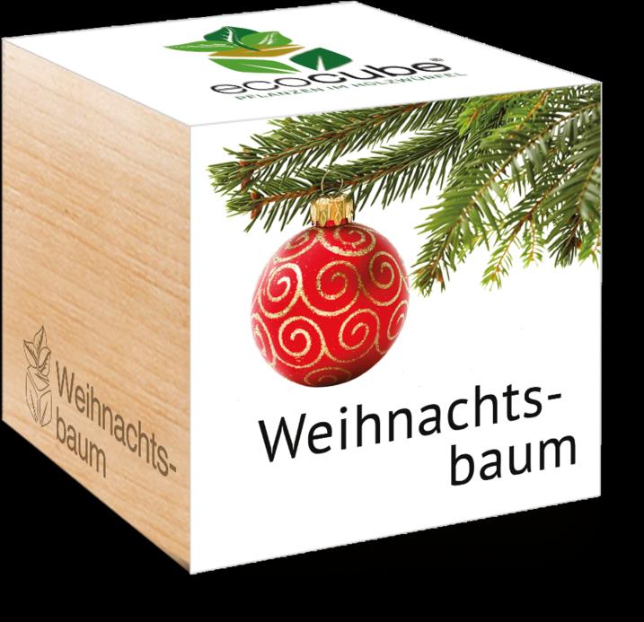 Actual product image Feel Green Ecocube (Plant seeds)