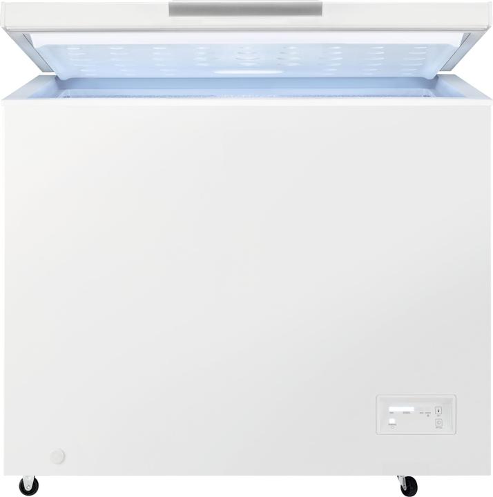 AEG AGT260 (Autonome, 254 l)