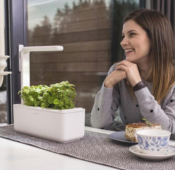 Actual product image Click and Grow smart garden (31.50 cm)