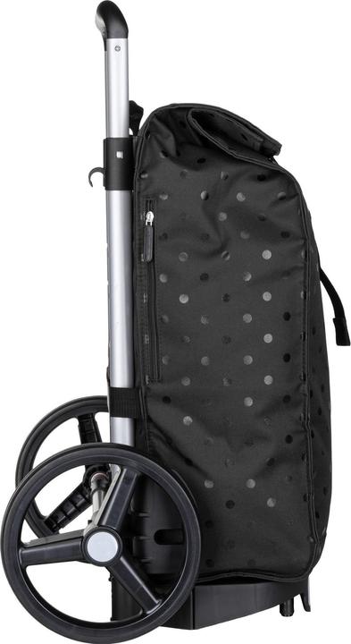 Produktbild reisenthel citycruiser glossy dots black