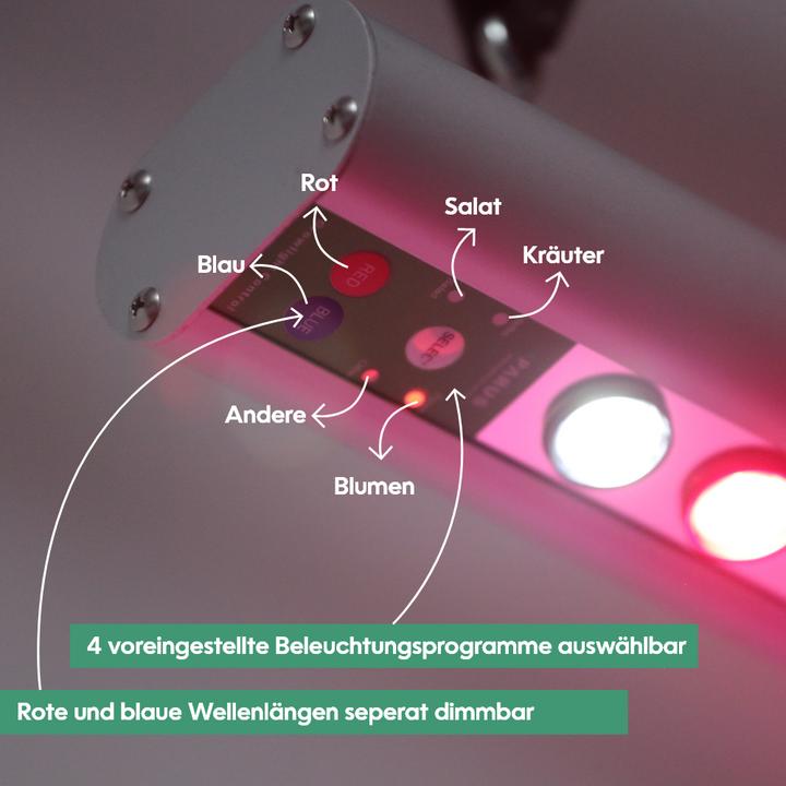 Actual product image Parus by Venso plant fitting GrowLight Quattro 30W, stimulation of photosynthesis and chlorophyll fo (LED, 245 V)
