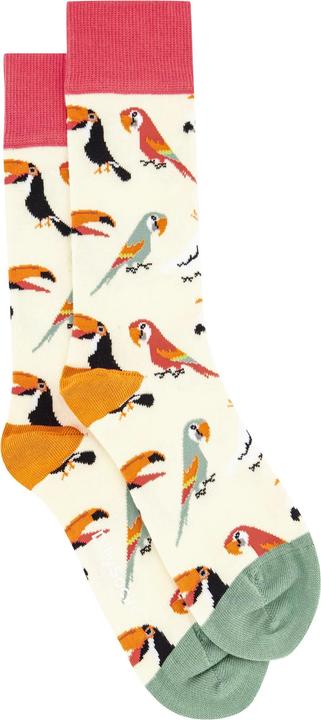 DillySocks Sand Aviary (Einzelpack, 36 - 41)