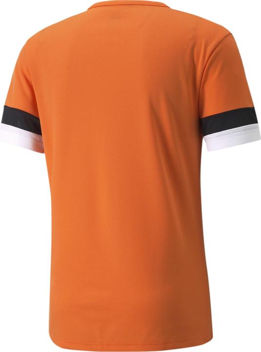 Image du produit Puma teamRISE Jersey-704932 (M)