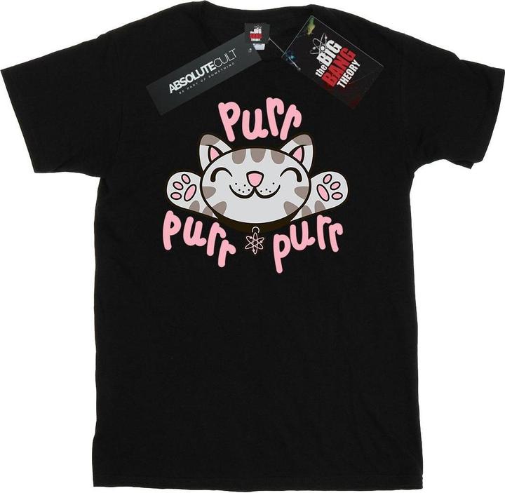 Big Bang Theory Soft Kitty Purr TShirt (XL)