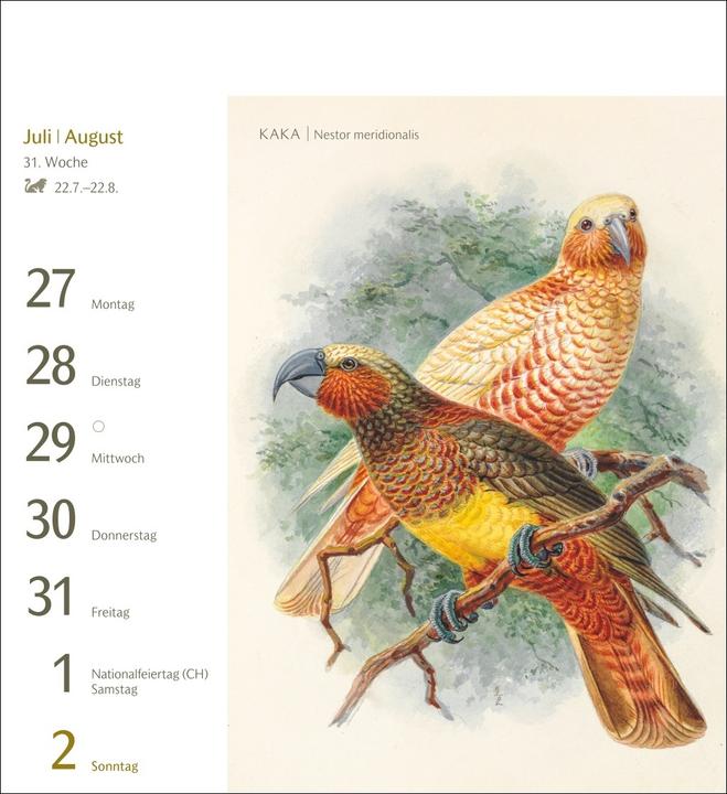 Actual product image Harenberg Vögel Postkartenkalender 2026 - Postkartenkalender mit 53 historischen Zeichnungen (Hardcover, German)