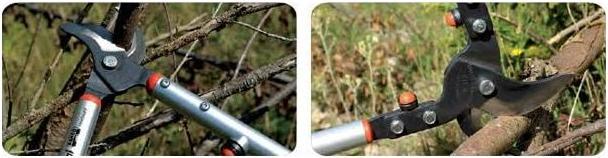 Actual product image Bahco Fruit tree loppers, P160-SL-90