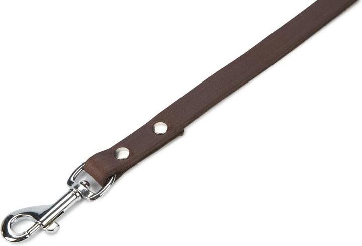 Actual product image Beeztees BZ LEATHER LEASH BROWN 165X12 (Dog)