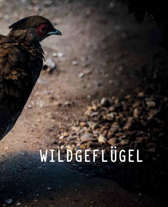 Image du produit Schnelle Wildgerichte - Das Wild Kochbuch (Allemand, Markus Bitzen, 2021)