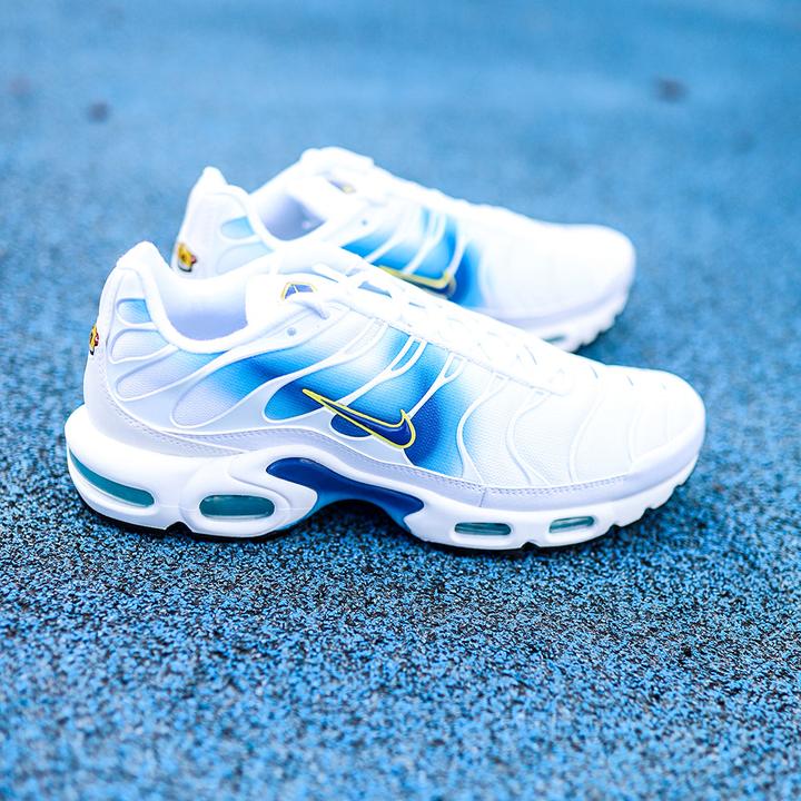 Actual product image Nike Air Max Plus (40)