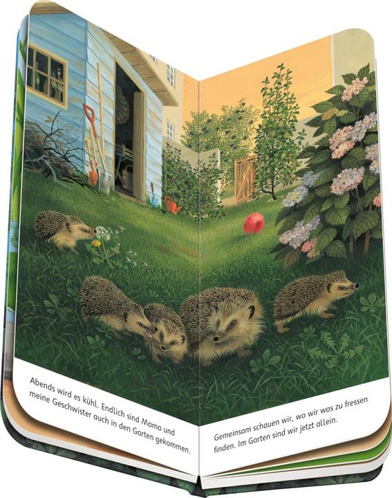 Produktbild Ravensburger Ich bin der kleine Igel (Deutsch, Gisela Stottele, 2023)