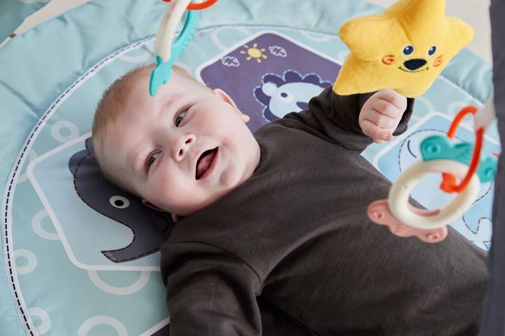 Produktbild Scandinavian Baby Products Zoo Activity Gym
