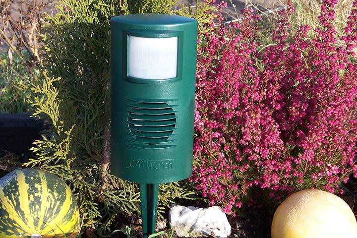 Produktbild Colibri Catwatch