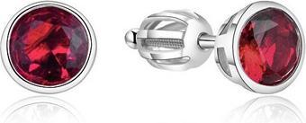 Beneto Silver earrings with shimmering zircon AGUP1717S (L)