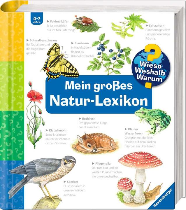 Produktbild Ravensburger Kinder-Sachbuch WWW Mein grosses Natur-Lexikon (Deutsch, Sandra Noa, 2021)