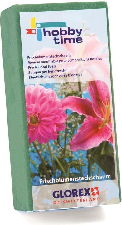 Glorex Schiuma per fiori freschi 23x11x7,5cm