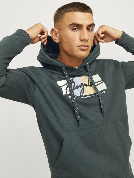 Produktbild Jack & Jones Jorportland Block Sweat Hood Ln (S)