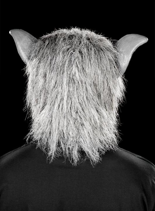 Actual product image Fun World Division Werwolf grau