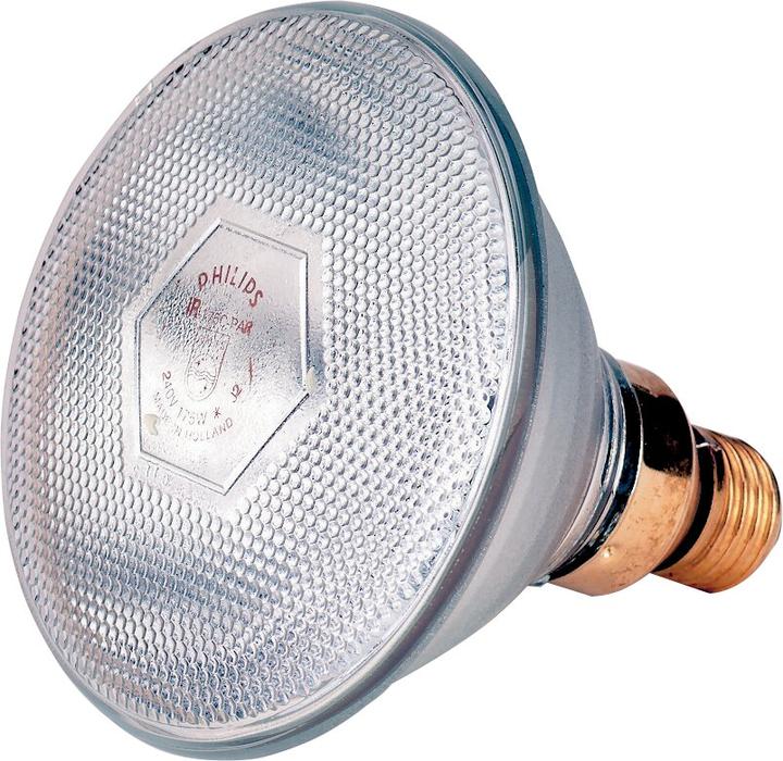 Philips Infra-Sparlampe klar PAR38 (100 W)