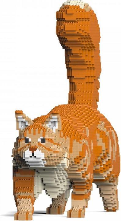 Produktbild Jekca Limited Orangene Maine Coon Katze