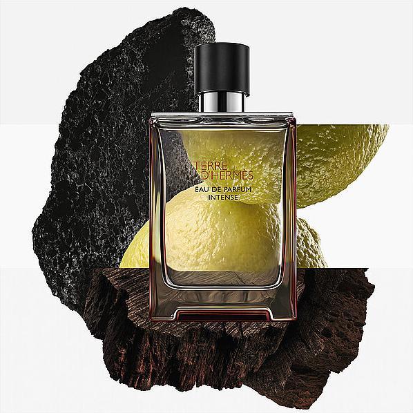 Immagine prodotto Hermès Terre d'Hermes (Eau de parfum, 100 ml)