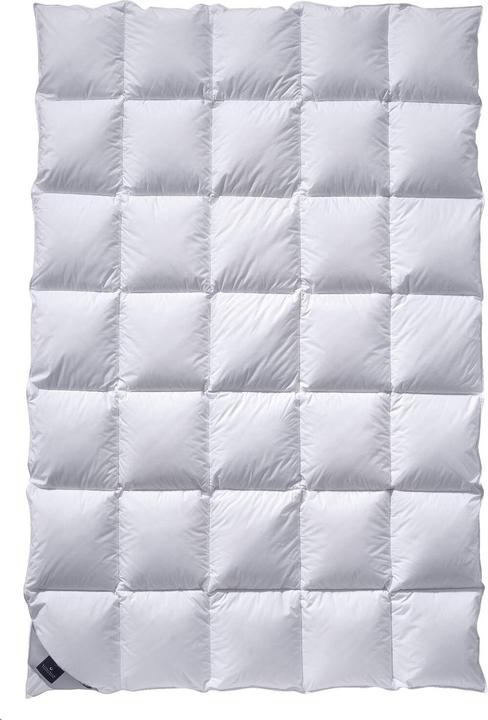 Produktbild Billerbeck Daunendecke Ambiente 308 Mono medium, Füllung: 100% Gänsedaunen (455 g, 135x200 cm)