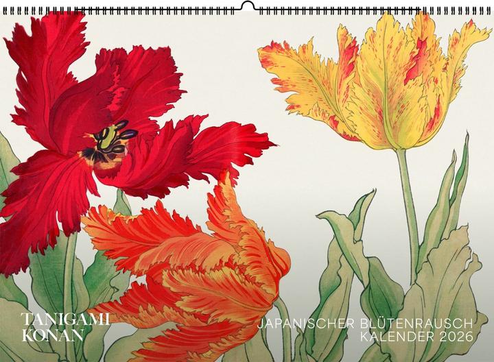 Actual product image Tanigami Konan. Wall calendar 2026 (30 x 42 cm, German)