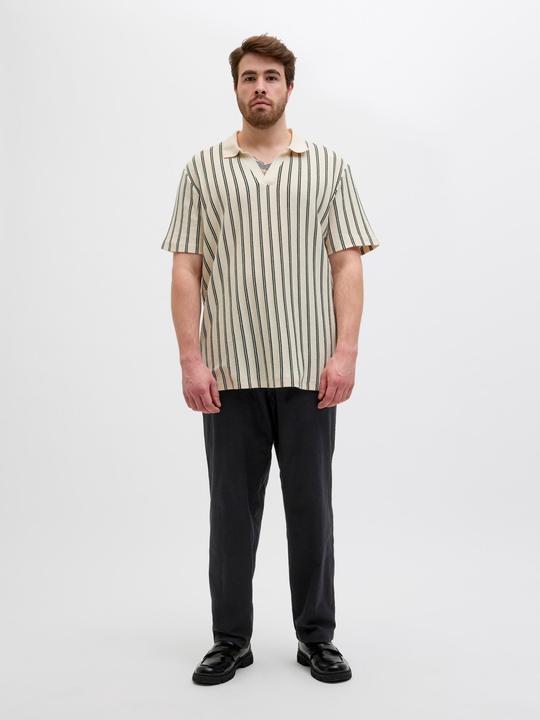 Image du produit Jack & Jones Plus Size Relaxed Fit Relaxed Fit Hosen Relaxed Fit Hosen (48)