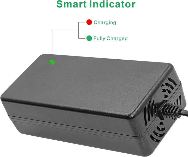 Actual product image Hauteook Li-Ion Ladegerät mit 3 Pin XLR und DC Kopf