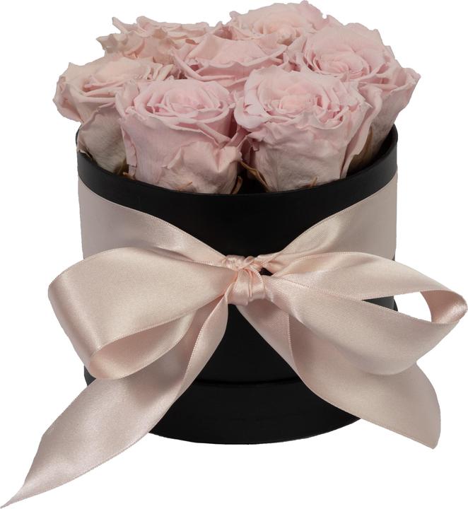 Rosa (scatola nera)