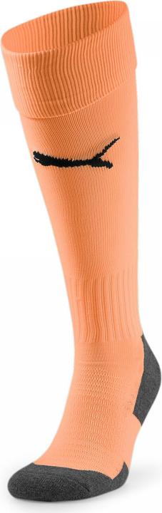 Actual product image Puma Team LIGA Socks CORE-703441 (47, 49)