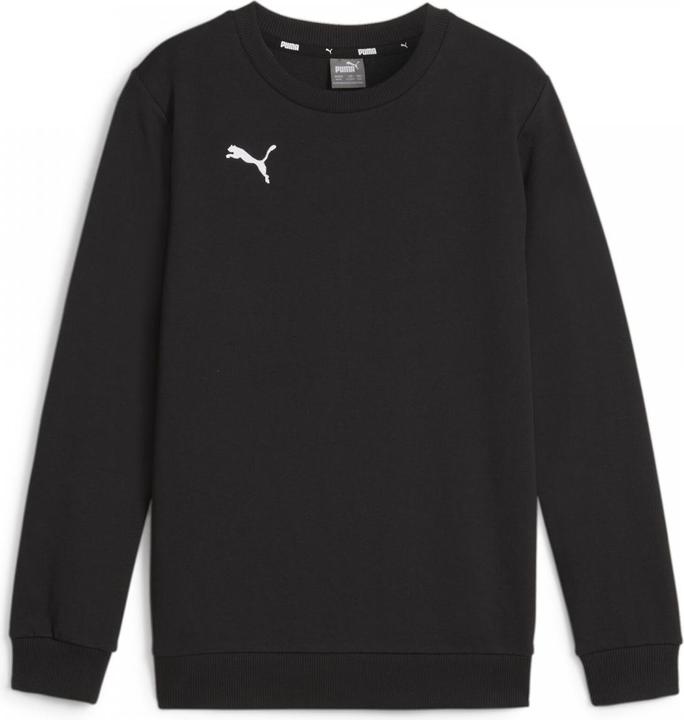 Actual product image Puma teamGOAL Casuals Crew Neck Sweat Jr (140)