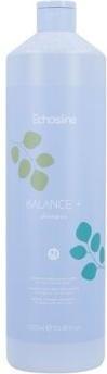 Actual product image Echosline Balance Plus Shampoo 1 litre (1000 ml, Liquid shampoo)