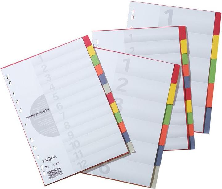 Actual product image Pagna Cardboard register for A4 - coloured
