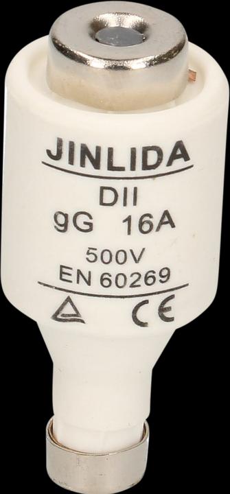 Actual product image Max Hauri Fuse DT (16 A, Lazy)