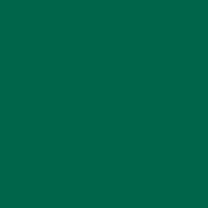 Immagine prodotto Folia Carta da disegno 130 g 50x70 cm x25 Verde abete (1 x)