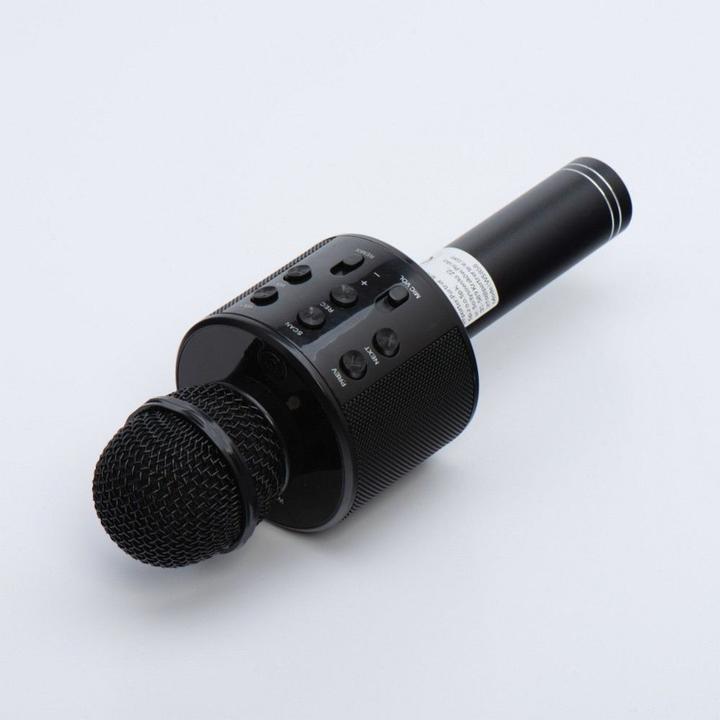 Produktbild OEM Other Computer Accessory Multimedia karaoke microphone CR58 black