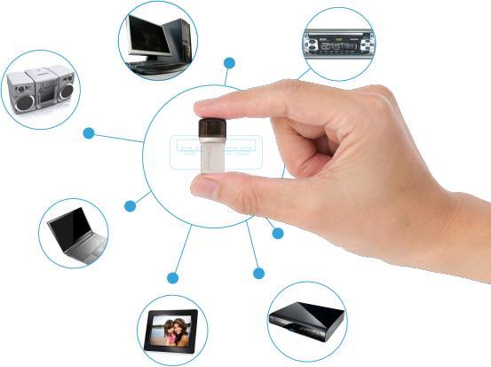 Immagine prodotto Transcend Chiavetta USB 256GB JetFlash USB3.1, Pen Drive, OTG Type-A&C, Argento (256 GB, USB-A)